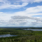 Bears trail